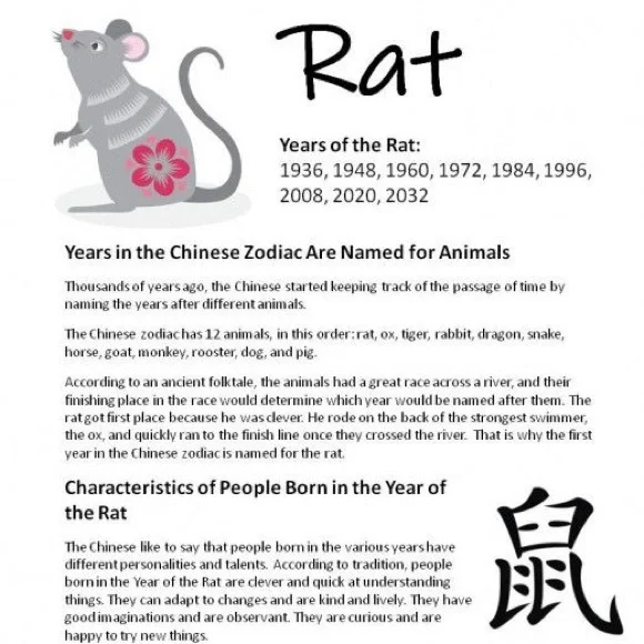 2008 Year of the Rat Hawaiian Ukulele & Slippahs - Gray Shirt - Large NWOT - Picture 12 of 13